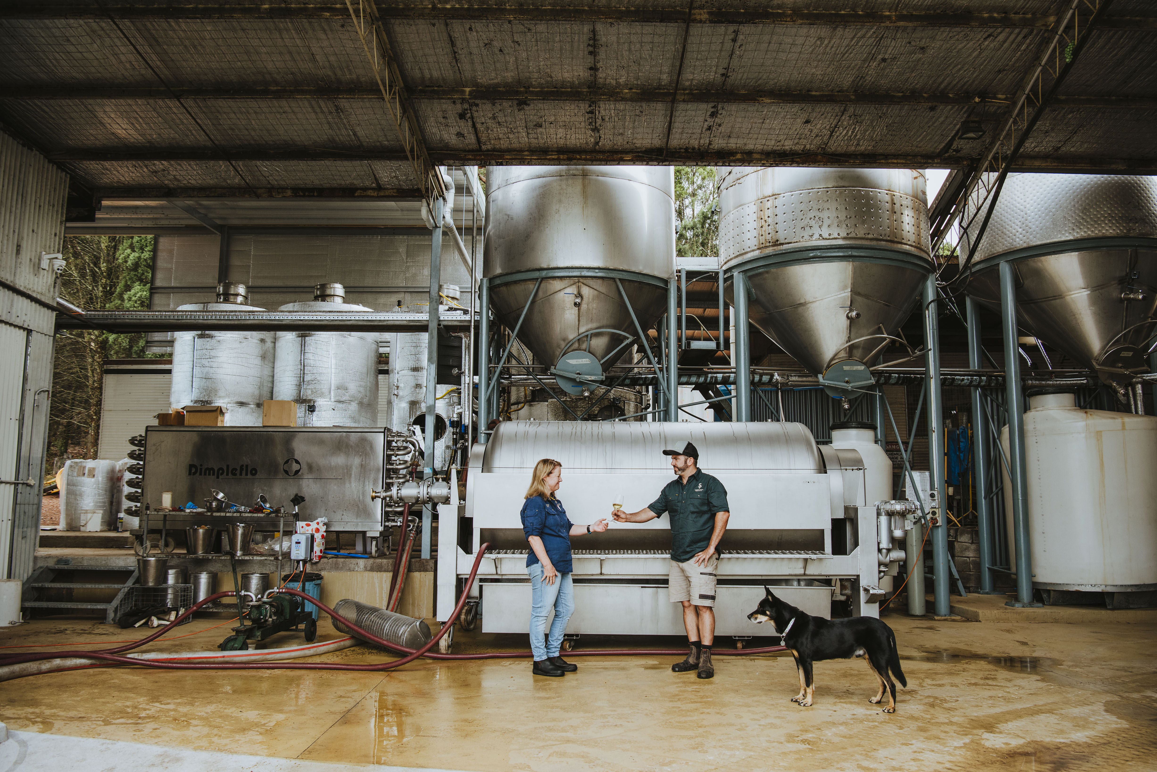 Man and woman in front of wine tanks with a dog